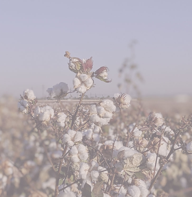 ABOUT_Materialien_Header