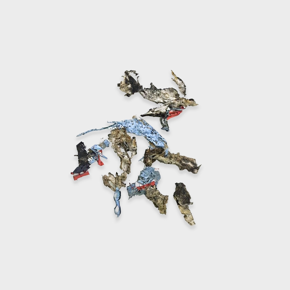 T-shirt excavation after 24 weeks 