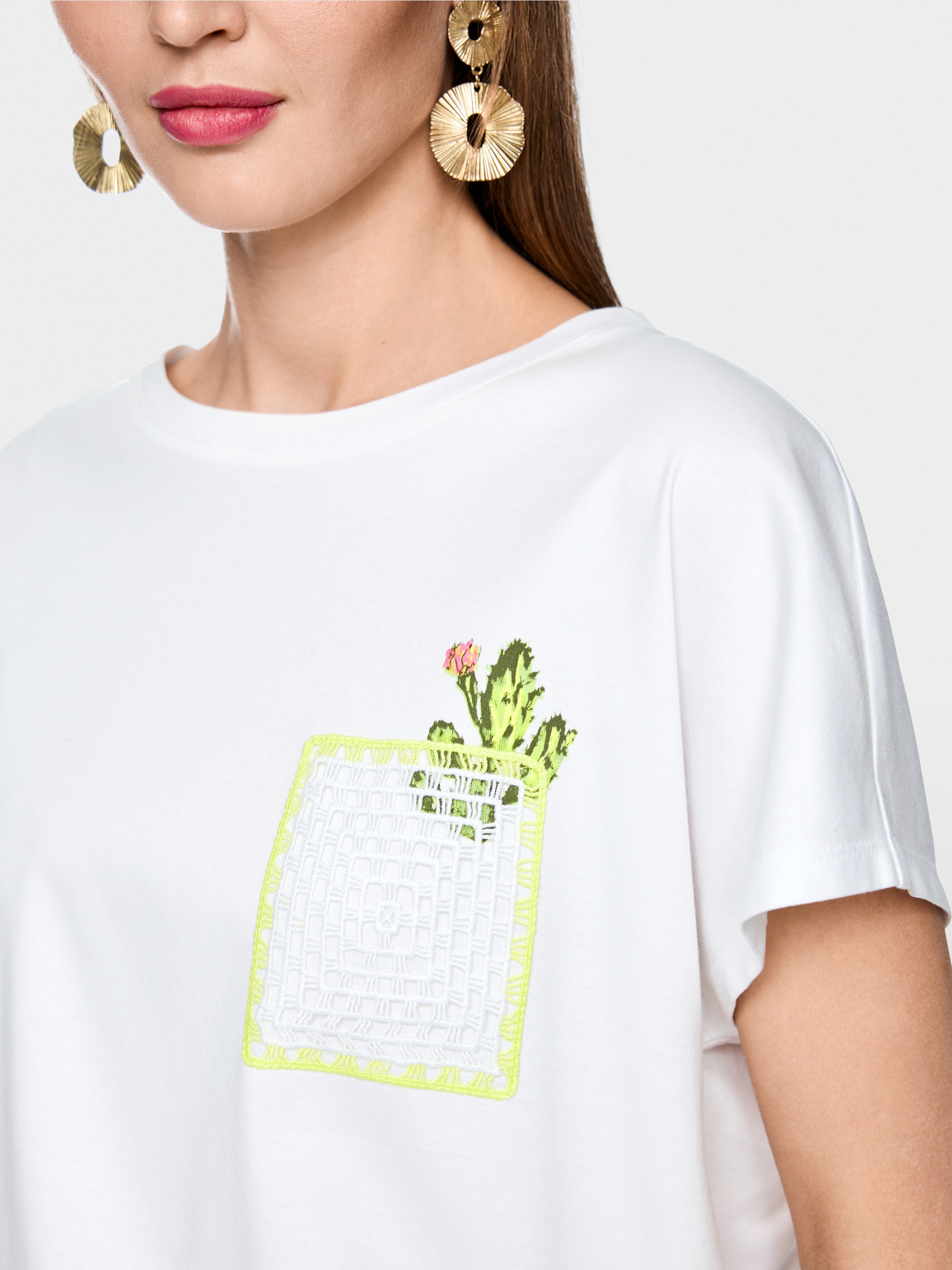 hanging monstera deliciosa Monstera adansonii 8" Hanging Basket