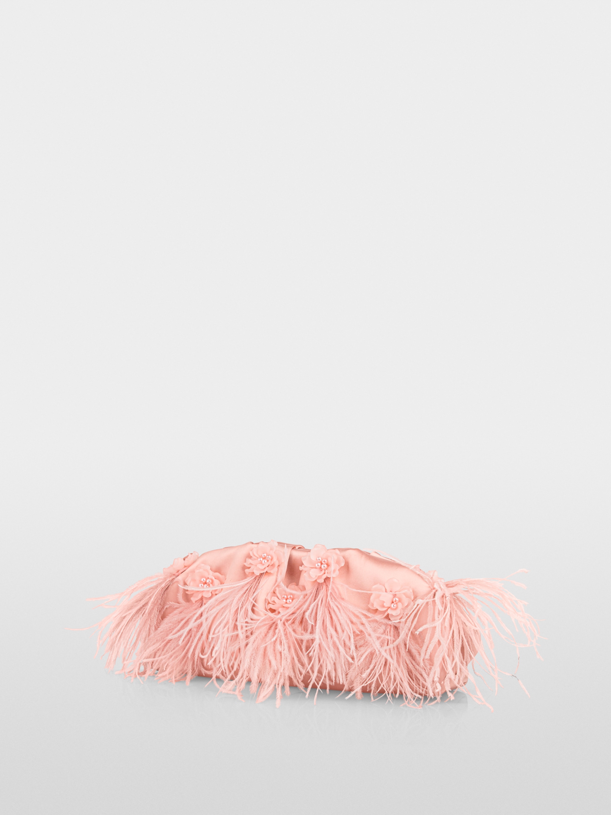 Edle Clutch mit Federn