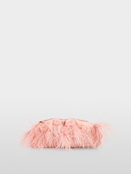 Edle Clutch mit Federn