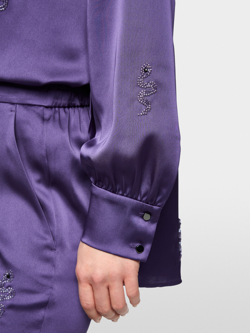 Blouse festive avec broderies serpent