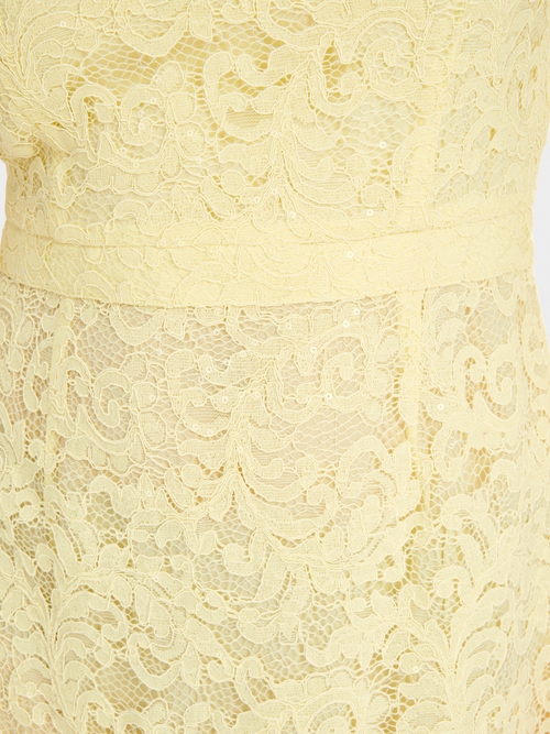Mini-robe près du corps en dentelle