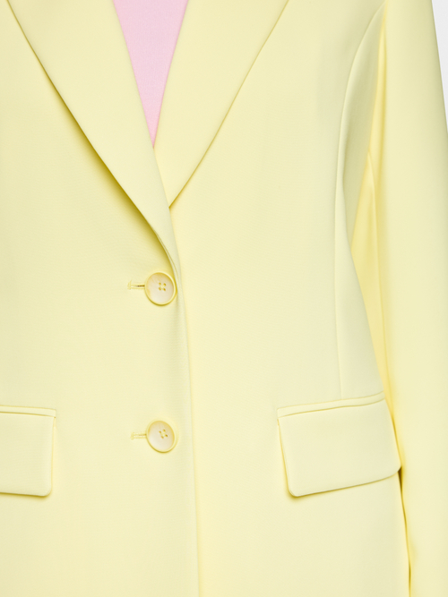 Elegant two-button blazer